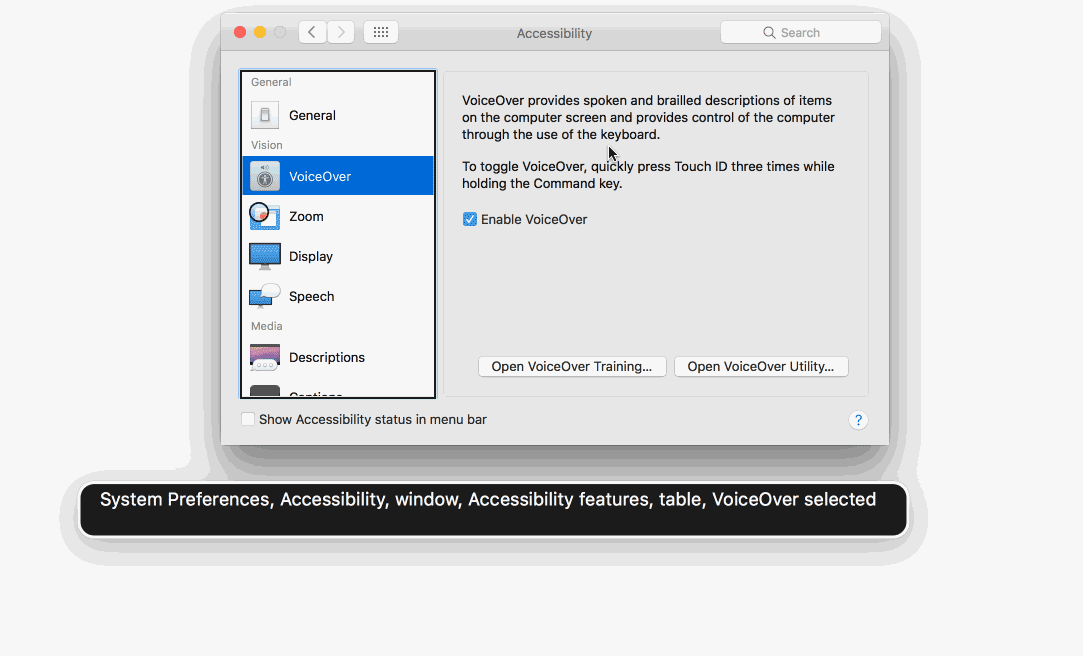 GIF of System Preferences being navigated using the VO keys
