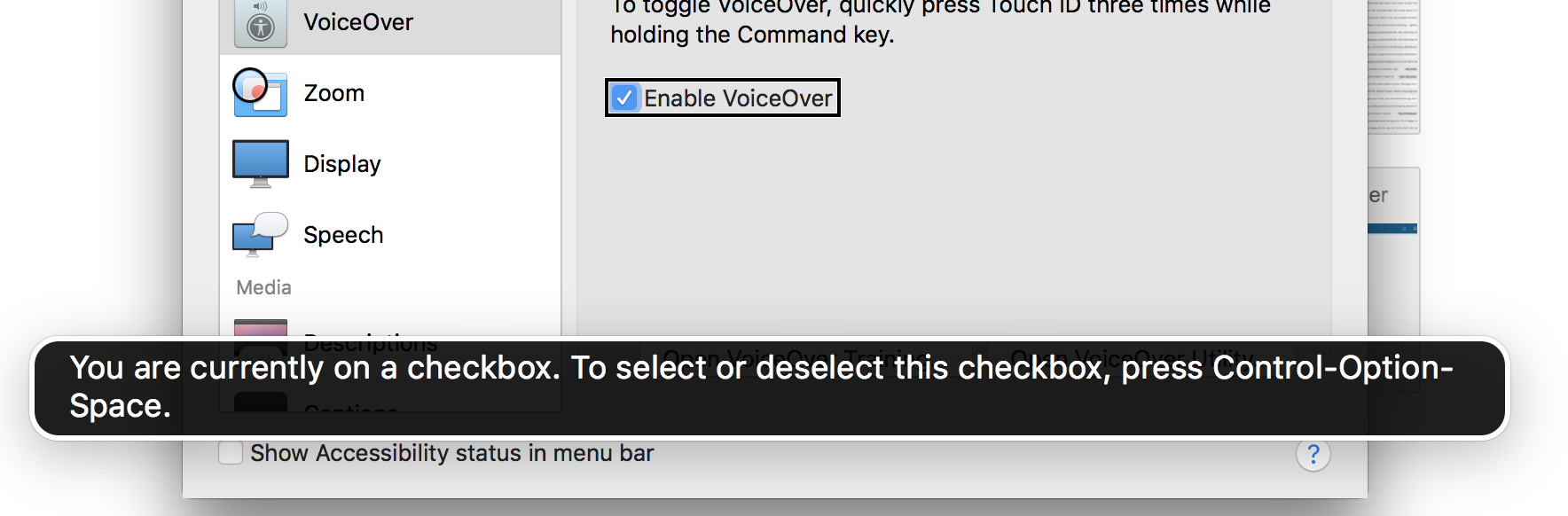 Black tooltip showing instructions for using the checkbox with the keyboard